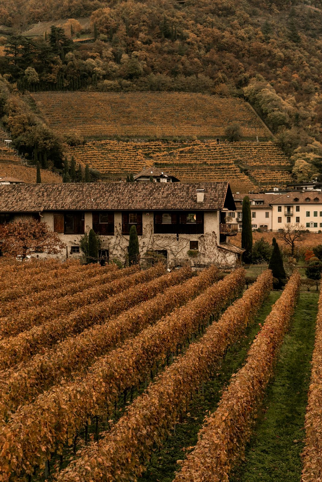 Alto Adige
