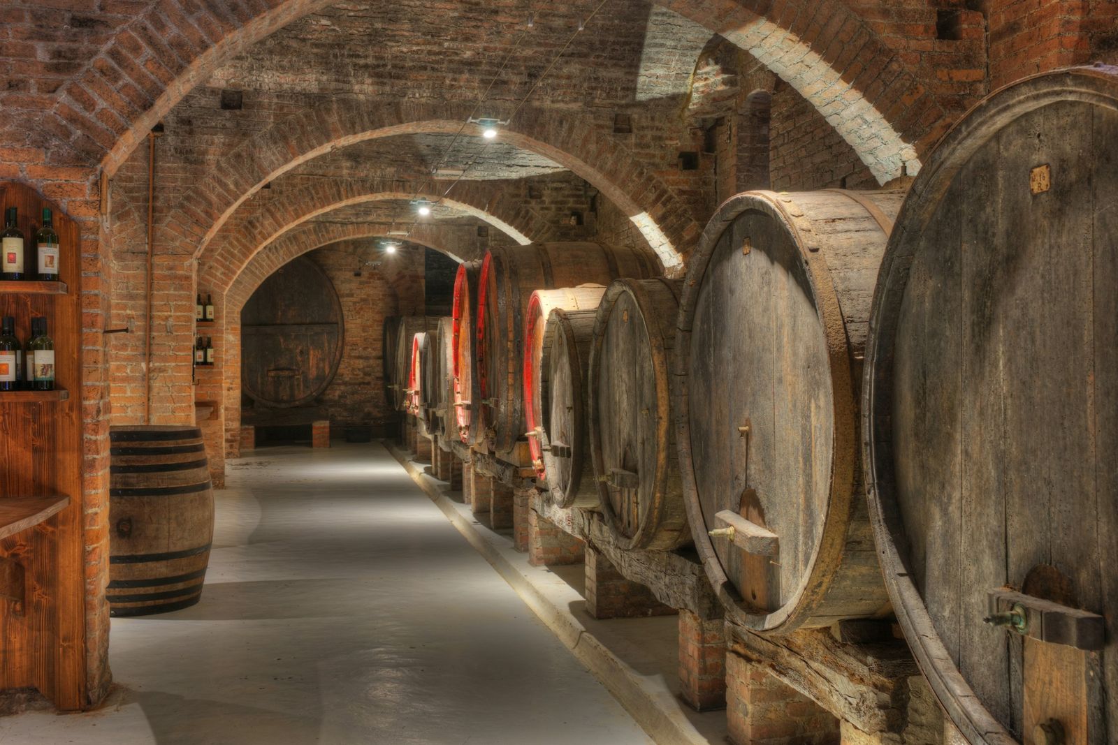Botti di rovere sotto le volte di una cantina storica