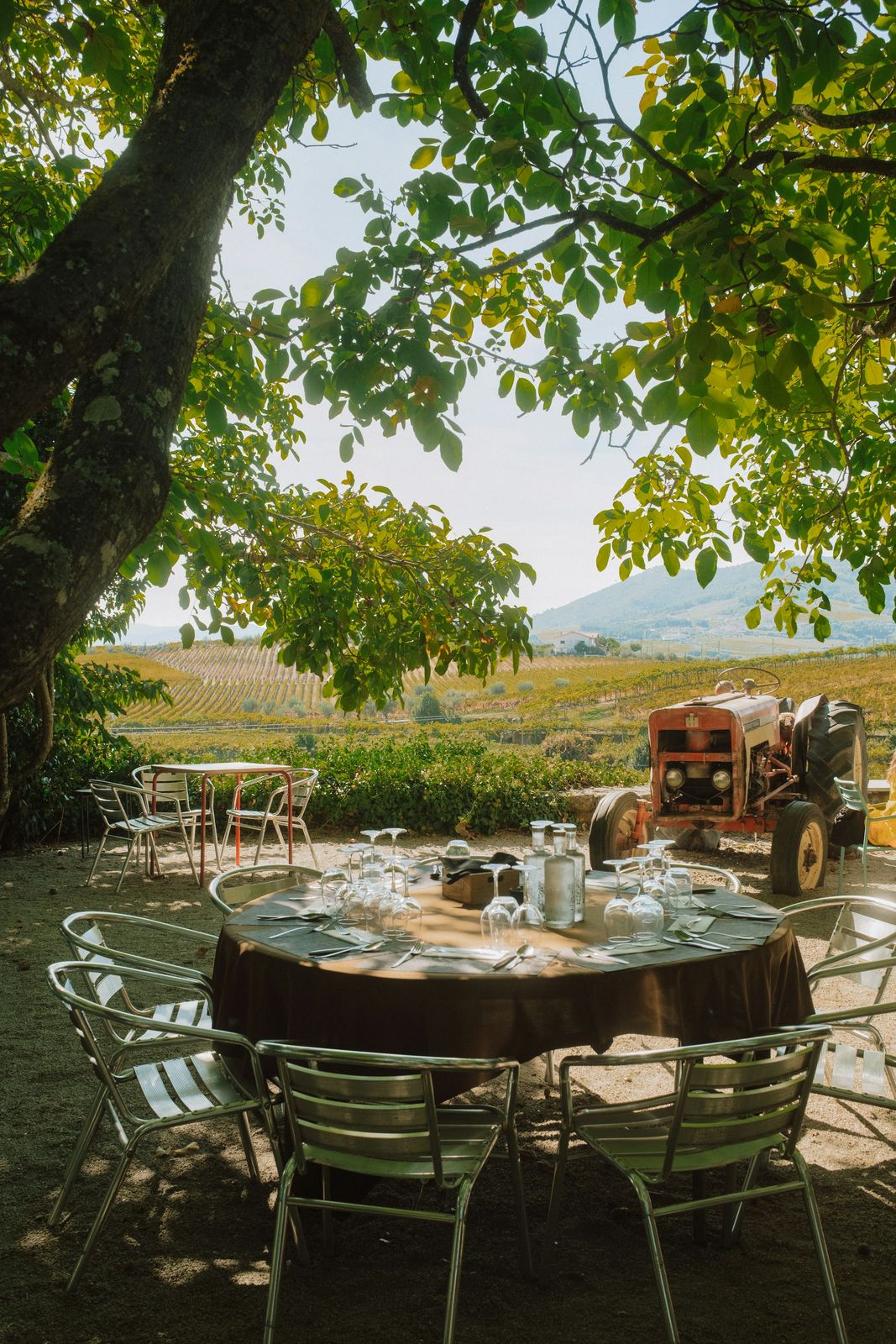 Tavola apparecchiata all'aperto, in campagna